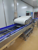 Fully Automatic Industrial Bread Depanner